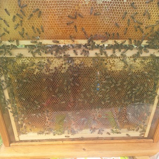 foto 9